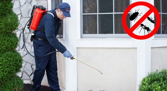 Çandarlı Dezenfeksiyon böcek ilaçlama ve haşere kontrolü — ilaclama-tr.com